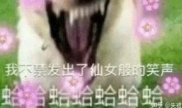 吃瓜摸鱼甩锅视频在线观看,在线观看的趣味与思考