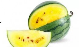 吃瓜视频都是哪里的,吃瓜视频的来源地大揭秘