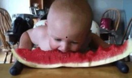 可爱的吃瓜宝宝视频在线观看,在线观看萌化人心