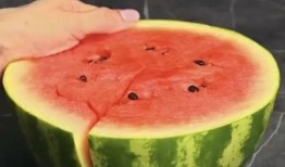 吃瓜留老籽视频素材高清,吃瓜留老籽视频素材背后的趣味与智慧