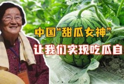请叫我女神吃瓜视频下载,揭秘热门话题背后的精彩瞬间
