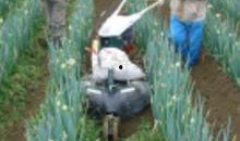 湖南小白龙视频高清吃瓜,揭秘幕后真相