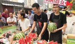 群众的吃瓜现场视频大全