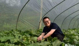 小长假吃瓜视频,短视频里的美食盛宴