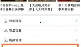 吃瓜微博视频看访客,揭秘吃瓜微博视频背后的神秘访客