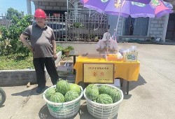 宁波吃瓜事件视频最新消息,真相大白，各方反应汇总