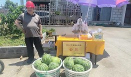 宁波吃瓜事件视频最新消息,真相大白，各方反应汇总