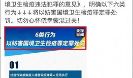 雒县吃瓜群众事件始末视频,一场网络舆论的风暴与反思