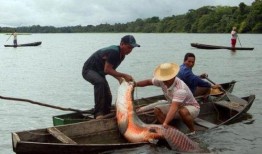 中国吃瓜船捡鱼视频播放,这波操作太“渔”了！