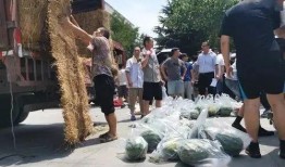 各大院校吃瓜视频,揭秘各大院校吃瓜视频背后的故事