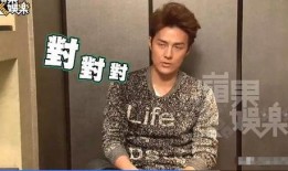 明星骂粉丝吃瓜视频大全,揭秘娱乐圈真实一面