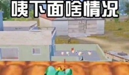 吃瓜群众的鸡视频在线观看,在线观看背后的故事