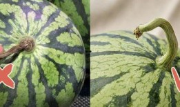 香港舞台吃瓜视频,揭秘幕后的精彩瞬间