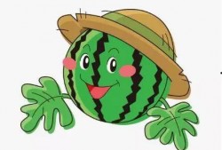 吃瓜表情包西瓜视频,吃瓜表情包，夏日清凉必备神器