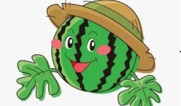 吃瓜表情包西瓜视频,吃瓜表情包，夏日清凉必备神器