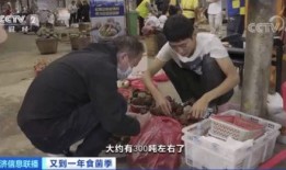 云南小伙蔡总吃瓜视频