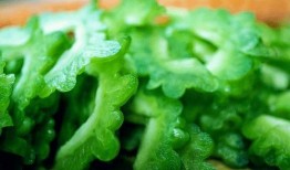 吃瓜吃多了会生病吗视频,揭秘“吃瓜病”之谜