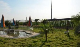 安徽网红吃瓜事件真相视频,揭秘背后真相与争议