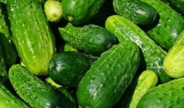 吃生瓜蔬菜直播视频教程