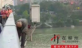 路边吃瓜跳桥视频大全下载,揭秘惊心动魄一幕