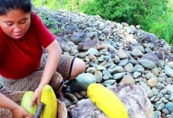 啥情况吃大瓜不会胖呢视频