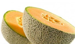 女猴吃哈密瓜视频,萌态十足引网友热议