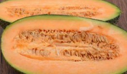 吃哈密瓜睡觉视频,揭秘甜蜜梦境的秘密