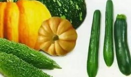 吃自己种的瓜视频,揭秘吃自己种瓜的奇妙体验