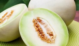 外地人吃兰州白兰瓜视频,感受瓜城魅力