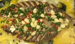 八瓜鱼哪里可以吃啊视频