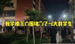 离谱吃瓜事件视频播放全集,视频全集揭秘惊人真相