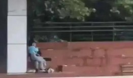 曹县卖房吃瓜视频,一场别开生面的直播带货盛宴