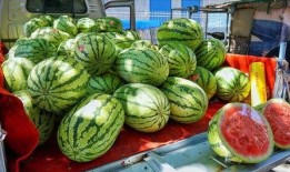 新乐市吃瓜事件真相视频,揭秘真相背后的惊人内幕