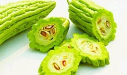 吃瓜留老籽视频素材高清,吃瓜留老籽视频素材背后的趣味与智慧