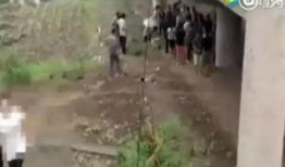 路边吃瓜跳桥视频大全下载,揭秘惊心动魄一幕