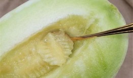 饭前吃玉菇瓜好不好呢视频,营养美味两不误