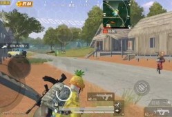 吃鸡三指麻瓜视频,轻松吃鸡！揭秘麻瓜玩家的吃鸡技巧