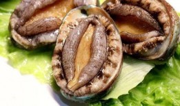 吃猪瓜和鲍鱼的视频,一场味蕾的奢华盛宴