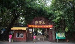 吃瓜群众公园视频,揭秘日常欢乐瞬间