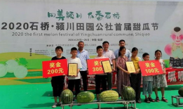 如何举办吃瓜比赛视频