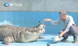 搞笑鳄鱼吃瓜视频,吃瓜视频笑翻网友