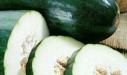 老年人吃生瓜的视频,勇敢挑战生瓜美食之旅