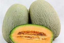 张兰吃哈密瓜视频大全下载,视频大全下载攻略