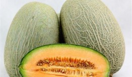 张兰吃哈密瓜视频大全下载,视频大全下载攻略