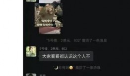 吃瓜视频在线观看曹县翰林府,吃瓜视频带你领略古韵风情