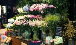 花店视频吃瓜,一场视觉与味蕾的双重盛宴