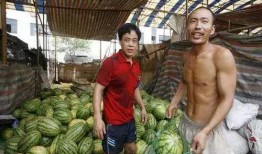 阳春网红吃瓜事件视频,揭秘背后真相与网络舆论风暴