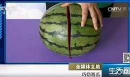 吃瓜生活圈视频,短视频中的趣味人生百态