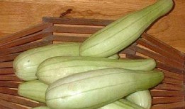 白瓜怎么吃才漂亮视频讲解,视频教你吃出美丽肌肤