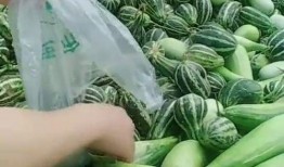 最新吃瓜视频在哪看到,最新吃瓜视频，一网打尽全网热门事件！